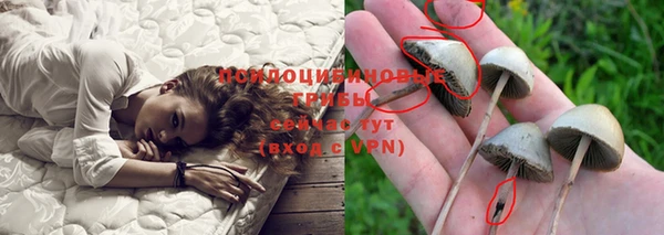тгк Абаза